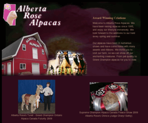 albertarosealpacas.com: Alpacas For Sale Canadian Alpaca Breeder Alberta Rose Alpacas
Our alpacas have been in numerous shows and have come home with many awards and ribbons. We have a wide range from pet quality to Grand Champion alpacas.