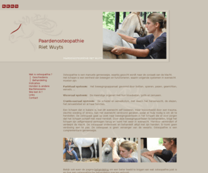 paardenosteopathie.net: Paardenosteopathie Riet Wuyts
Osteopathie voor paarden en honden. Welkom op de site van de praktijk voor dierenosteopathie van Riet Wuyts.