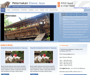 etawajaya.com: Peternakan Etawa Jaya | Kambing Etawa | Jual Kambing Etawa
Peternakan kambing etawa, jual kambing etawa, kambing susu dan susu kambing. Menyediakan informasi budidaya ternak kambing etawa dan desain kandang kambing