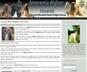 coxiesafghanhounds.com: Amoremia Afghan Hounds
Afghan Hound Blog An Insight to the Wonderful World of Afghan Hounds
