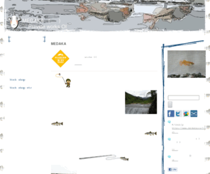 medakaoyaji.com: メダカとフライフィッシングのMEDAKA親爺 - MEDAKA親爺　Previde works OI
