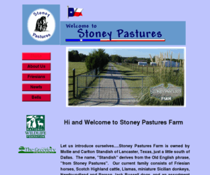 stoney-pastures.com: Home
equuspring
friesian
highland cattle
garden bells
newfoundland dog
standish
carlton
mollie