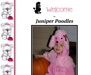 epoodles.com: NJ Poodles
Welcome to Juniper Poodles! Please look around, and enjoy your 
stay...while you are here please sign our guestbook!