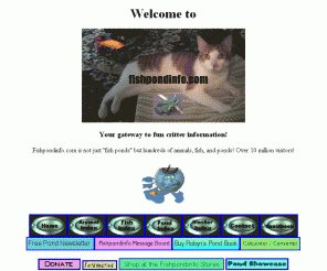 fishpondinfo.com: Robyn's Web Page
This page is Robyn's new page.