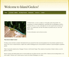 islandgeckos.com: Welcome to Island Geckos! - Home
Gecko breeder of Island Species, specializing in Eurydactylodes, Rhacodactylus, and Phelsuma