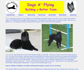 dogsaflying.com: Dogs A' Flying
Dog Agility Training and relationship building.