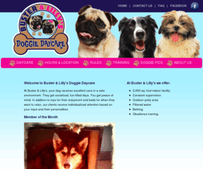 busterandlillydoggiedaycare.com: Buster & Lilly's Doggie Daycare
At Buster and Lilly's, your dog receives excellent care in a safe environment. With two play areas in a 2000 square foot facility and constant supervision, your dogs get socialized, fun-filled days and you get peace of mind.