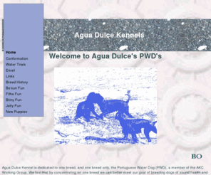 aguadulcefarm.com: Agua Dulce Kennel
Agua Dulce Kennel is dedicated to breeding the Portuguese Water Dog
    (PWD), a member of the AKC Working Group, and is home to Bo'sun, Westminster breed winner in 2003 and
    2004 and producer of quality pupies