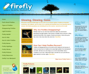 firefly.org: Firefly.org | Firefly & Lightning Bug Facts, Pictures, Information About Firefly Insect Disappearance
Fireflies are disappearing! Find out why on Firefly.org. Information on fireflies & lightning bugs including reasons on their decline, plus firefly pictures, facts, and how to catch them. 