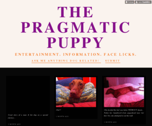 pragmaticpup.com: The Pragmatic Puppy
Entertainment. Information. Face licks.