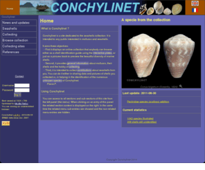 conchylinet.com: Conchylinet - Seashells collecting - Online collection - Molluscs identification
Conchylinet, your ressource to seashells collecting and identification