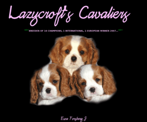 lazycroft.se: LAZYCROFT'S CAVALIER KING CHARLES SPANIEL
Breeder of Cavaliers in Sweden, uppfödare, västra sverige, hundar, toyspaniel,Uppfödare av Cavalier king charles spaniel västra sverige, cavalier uppfödare sverige, valpar, uppfödare, sverige, avel, hanar, tikar, valpar, utställning, famlijehundar, cavalierer, cavalier king charles spaniel, king charles spaniel,välmeriterade,blenheim. trefärgade, tricolour, ruby, black and tan,agria ombud.