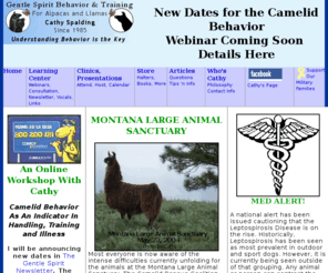 gentlespiritllamas.com: Gentle Spirit Behavior and Training Llamas, Alpacas, Cathy Spalding
Cathy Spalding writes and teaches about llama and alpaca behavior, training and herd management. Webinars, products, alpaca sounds and more