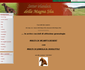 magnasila.com: Home Page
Allevamento della Magna Sila - Allevamento Setter Irlandese