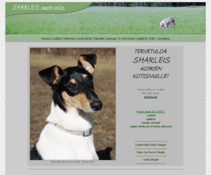 sharleis.net: Sharleis smooth collies
