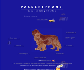 passeriphane.com: Cavalier King Charles de Passeriphane
Elevage de cavalier king charles situé dans les Hauts de Seine et à Orléans