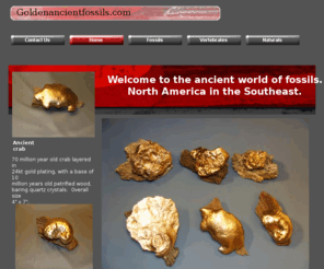 goldenancientfossils.com: Golden Ancient Fossils of North America in Southeast
Authentic statues of 24kt golden fossils cretaceous, with petrified wood bases baring quartz crystals.