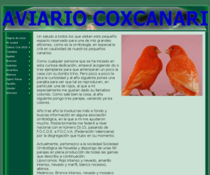 avariocoxcarnari.com: AVIARIO COXCANARI
podra encontrar fotos de canarios de color y fauna europea.