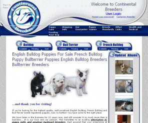 Shih+tzu+puppies+houston+texas+for+sale