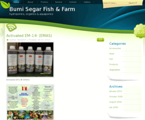 bumisegarfish.com: Bumi Segar Fish & Farm
Hydroponics, Organics & Aquaponics