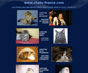 chats-france.com: www.chats-france.com : Trouvez votre Chat chez des éleveurs de qualité !
Guide présentant des éleveurs de chats dans différentes races, des pensions, fabricants d'aliments, le snpcc... Nombreuses photos de chats (vous pouvez envoyer la votre...) Annonces gratuites, liens...