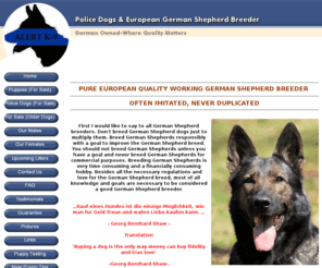 policedogs.us: Police Dogs & Top Quality European German Shepherd Puppies - Home
Alert K9 German Shepherd Breeder has Police Dogs and top European German Shepherd Puppies for sale. 