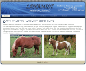lanamistshetlands.co.uk: Welcome to Lanamist Shetlands
We are a relatively small stud (10 broodmares and 3 stallions).  We concentrate on trying to breed broken coloureds.