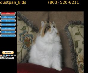 dustpankids.com: Persian Kittens bi color kittens only !
Home raised persian kittens. Top blood lines. Show quality as well as pet quality. We are a show home.