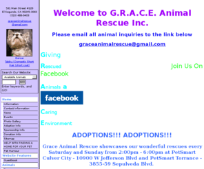 graceanimalrescue.org: Welcome to G.R.A.C.E. Animal Rescue Inc.
Welcome to G.R.A.C.E. Animal Rescue Inc.