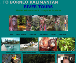 borneokalimantan.com: BorneoKalimantan.com - Eco Tourism Specialist
mahakam river and orangutan explorer - see the wildlife and natural living in deep of borneo rainforest