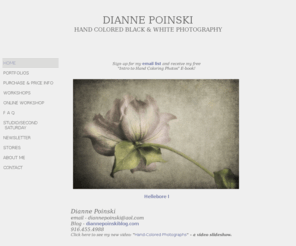 diannepoinski.com: Dianne Poinski Photography
Hand-Colored Black & White Photography. Images & Workshops by Dianne Poinski