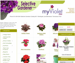 selectivegardener.com: African Violets, Begonias, Gift Items, Ceramic Pots and Optimara Plant Care Products
We Offer Beautiful, Award-Winning African Violets & Decorative Plants from the World's Best Grower, Breeder & Distributor - Optimara Group.