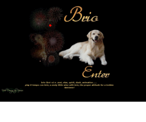 briogold.com: :: Brio Goldens ::
Please come in and meet our Goldens and take a look around. We live on the edge of the Texas hill country outside Austin with our family of Goldens, who all live in our home as pets and companions. 