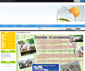 bdogkennel.com: ลาบราดอร์,โกเด้น,เซนต์เบอร์นาร์ด [Engine by iGetWeb.com]
ขายสุนัข,ลาบราดอร์,ลาบราดอร์ รีทริฟเวอร์,ลูกสุนัขลาบราดอร์,สุนัข,คอกสุนันอุบล,อุบลราชธานี,ขายลูกสุนัขพันธุ์ลาบราดอร์,LABRADOR RETRIEVER,labrador,bdogkennel,โกลเด้น รีทรีฟเวอร์,โกเด้น,golden,เซนต์เบอร์นาร์ด,หมา,อุบลราชธานี,ฟาร์มสุนัข,คอกสุนัข,ซื้อขายสุนัข,สุนัขพันธ์ใหญ่,คอกสุนัขที่อุบล,ฟาร์มสุนัขอุบล,สุนัขอยู่อุบลราชธานี
