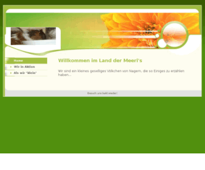 meeriland.com: Willkommen im Meeri Land - Home
Willkommen in unserem zu Hause! Wir sind ein geselliges kleines Volk von Nagern und haben so einiges zu erzählen...