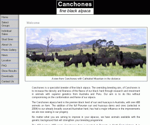 canchones.com.au: Canchones Alpacas - Welcome
Official website of Canchones Alpaca Stud