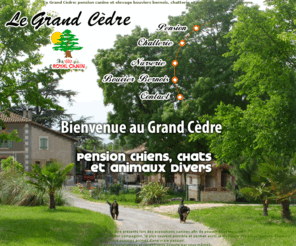 legrand-cedre.com: Le Grand Cèdre: pension canine et elevage bouviers bernois, chatterie et nurserie en Haute Garonne
Le Grand Cèdre : Pension Canine le Grand Cèdre  pensions pour chiens bouviers bernois, chatterie et nurserie. Notre établissement a été créé de manière à ce que les animaux disposent d'un maximum de place et de confort (bac et tapis fournis sans supplément). Nous disposons d'un parc de 2500 m2 clôturé à 3m30 où les chiens sortent en couple environ toutes les heures. Notre chatterie est chauffée sans supplément.