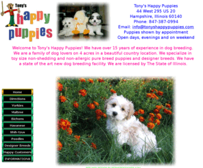 tonyshappypuppies.com: Tony's Happy Puppies For Sale in Hampshire, Illinois
Tony's Happy Puppies are located in Hampshire, Illinois. We have Yorkies, Maltese, Havanese, Poodles, Shih Tzus, Bichons, and Designer Breed puppies for sale now.