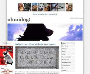 ohmidog.com: ohmidog!
Ohmidog.com and Muttsblog.com are the web domains of John Woestendiek, a former newspaper reporter and Pulitzer Prize winner who, after blogging about dogs and animals for the Baltimore Sun for the past 14 months, decided to unleash himself from the newspaper and go out on his own.