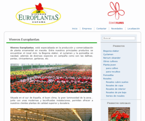 viveroseuroplantas.com: Viveros Europlantas   » Viveros Europlantas
Rosales, Begonia elatior, Cyclamen, Pointsettia, Nerium oleander, planta joven y productos especiales