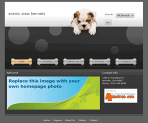 scenicviewpuppies.com: Scenic View Puppies
Scenic View Puppies has been breeding labs and labradoodles since 2008 and we started breeding siberian huskies in 2010.We take pride in our puppies and make sure you get a quality lifetime friend.