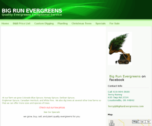 bigrunevergreens.com: Home - BIG RUN EVERGREENS
Quality evergreens, exceptional service, Ohio grown trees