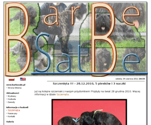 barbesale.pl: BARBE SALE - Bouvier des Flandres :: PLANOWANY MIOT 2011/2012 - Hodowla Bouvier des Flandres, Szczenięta, Strzyżenie !
PLANOWANY MIOT 2011/2012 - Hodowla Bouvier des Flandres, Szczenięta, Strzyżenie !