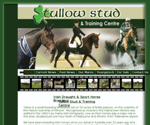 tullowstud.com: tullow stud
Irish bred performance horses, Irish sport horses. dressage, Eventing, Showjumping, youngstock for sale. Irish sport horse society of australia.
Tullow stud. training centre.