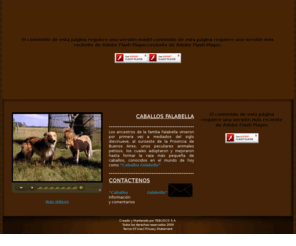 caballosfalabella.com: Criadero Falabella - Caballos Miniatura
caballos miniatura pequeños falabella pony ecuador ponis mascotas tan pequeños como perros