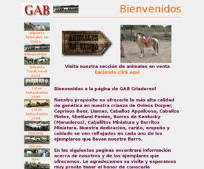 gab-criadores.com: Ovinos Dorper Caprinos Boer Llamas Caballos Appaloosa Pintos Shetland Ponies Burros de Kentucky Manaderos Caballitos Miniatura Burritos Miniatura Tampico Tamaulipas Mexico Compra Venta
Ovinos Dorper Caprinos Boer Llamas Caballos Appaloosa Pintos Shetland Ponies Burros de Kentucky Manaderos Caballitos Miniatura Burritos Miniatura Tampico Tamaulipas Mexico Compra Venta