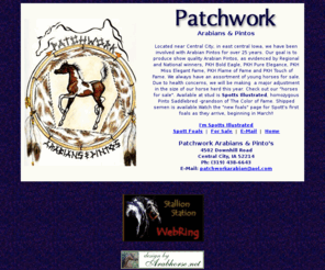 patchworkarabiansandpintos.com: Patchwork Arabians and Pintos
Located near Central City, in east central iowa, we have been nvolved with Arabian Pintos for over 25 years.