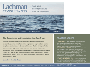 lachmanconsultants.com: Lachman Consultants
