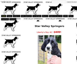 starvalleyspringers.com: Star Valley Springers
This is the online page for Star Valley Springers.  We are located in the panhandle of Florida in the small community of Bethlehem where we raise English Springer Spaniels.