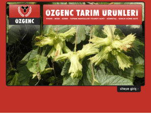 ozgenctarim.com: Tarım Ürünleri Satışı Benzin Satışı Alpet Bayi Mısır Tohum Fındık Satışı
Tarım Ürünleri Satışı Benzin Satışı Alpet Bayi Mısır Tohum Fındık Satışı